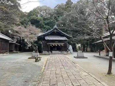 五所八幡宮の本殿・本堂