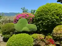 金剛寺(奈良県)