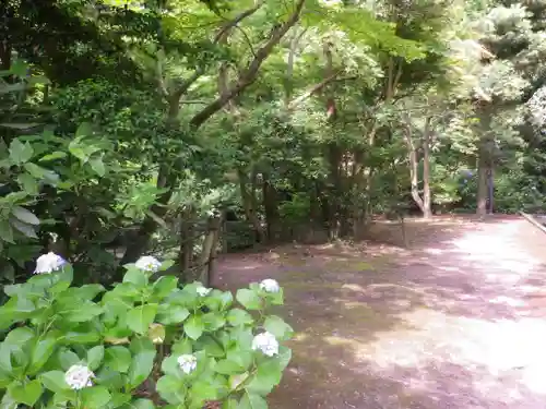 妙本寺の庭園