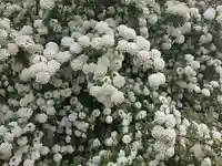 八角堂(京都府)