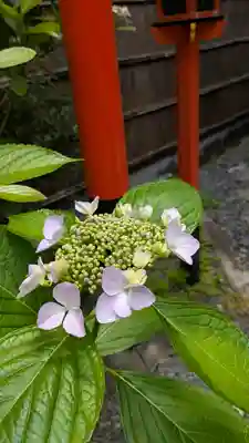 中山神社(京都府)