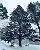土津神社|こどもと出世の神さまの自然