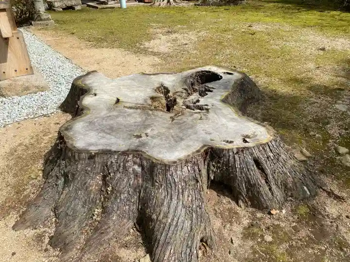 出石神社の{uncategorized: "未分類", other: "その他", undefined: "問題あり", building: "その他建物", grave: "お墓", sacred_gate: "鳥居", guardian: "狛犬", statue: "像", buddha: "仏像", history: "歴史", nature: "自然", garden: "庭園", animal: "動物", pagoda: "塔", temizu: "手水舎", mountain_gate: "山門・神門", sanctuary: "本殿・本堂", subordinate: "末社・摂社", art: "芸術", scenery: "景色", jizo: "地蔵", ema: "絵馬", goshuin: "御朱印", omikuji: "おみくじ", items: "授与品その他", amulet: "お守り", goshuincho: "御朱印帳", eats: "食事", festival: "お祭り", votive_dance: "神楽", shichigosan: "七五三参", wedding: "結婚式", experience: "体験その他", initially: "初詣", around: "周辺", anti_infection: "感染症対策"}