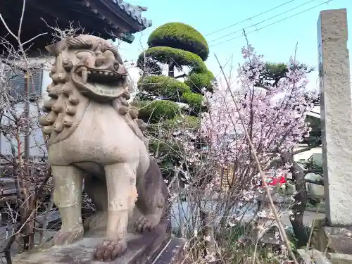 柿本神社の狛犬