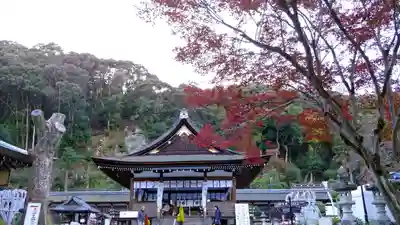 松尾大社の本殿・本堂