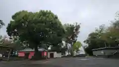 日吉浅間神社の建物その他