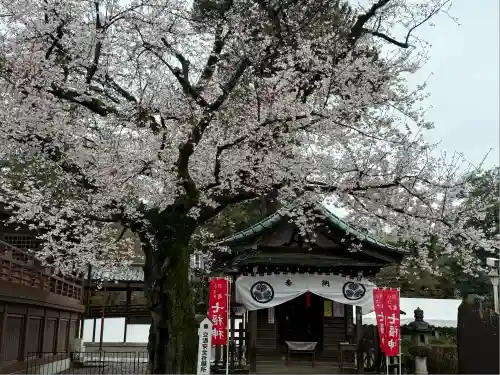 喜多院(埼玉県)