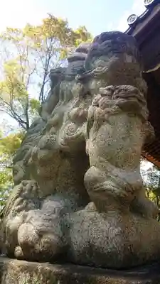 川曲神社(子生和町)の狛犬