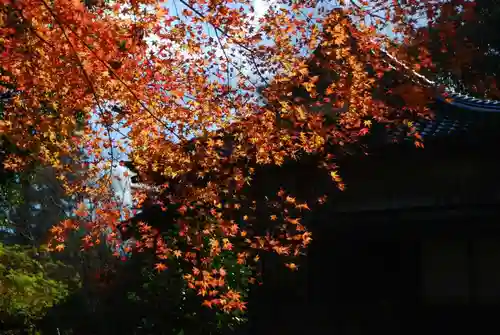 八幡宮(山口県)