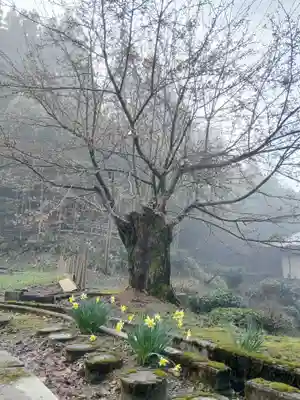 白狐山光星寺(山形県)