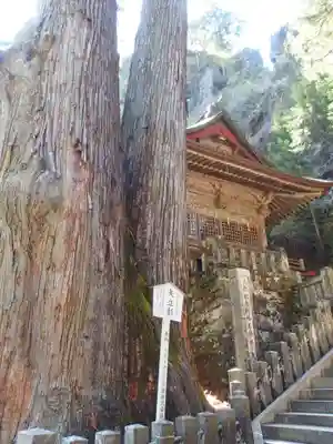 榛名神社(群馬県)