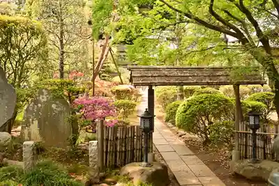 岩殿山安楽寺(吉見観音)(埼玉県)