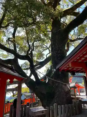 熊野那智大社(和歌山県)