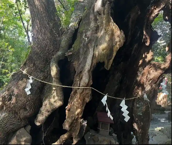 來宮神社(静岡県)