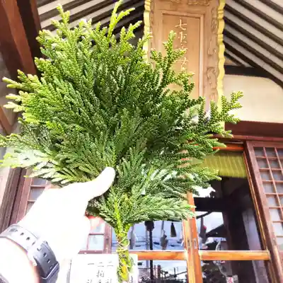 七重浜海津見神社(北海道)