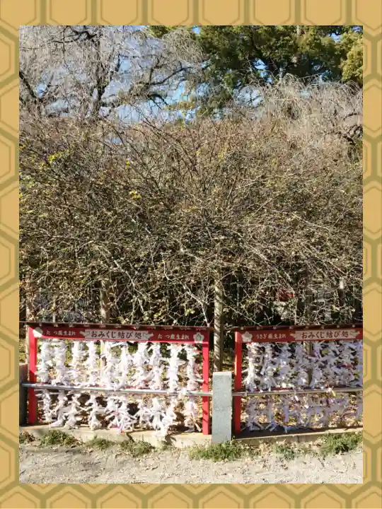 冠稲荷神社の{uncategorized: "未分類", other: "その他", undefined: "問題あり", building: "その他建物", grave: "お墓", sacred_gate: "鳥居", guardian: "狛犬", statue: "像", buddha: "仏像", history: "歴史", nature: "自然", garden: "庭園", animal: "動物", pagoda: "塔", temizu: "手水舎", mountain_gate: "山門・神門", sanctuary: "本殿・本堂", subordinate: "末社・摂社", art: "芸術", scenery: "景色", jizo: "地蔵", ema: "絵馬", goshuin: "御朱印", omikuji: "おみくじ", items: "授与品その他", amulet: "お守り", goshuincho: "御朱印帳", eats: "食事", festival: "お祭り", votive_dance: "神楽", shichigosan: "七五三参", wedding: "結婚式", experience: "体験その他", initially: "初詣", around: "周辺", anti_infection: "感染症対策"}