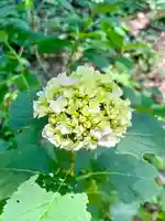 蚊里田八幡宮(長野県)