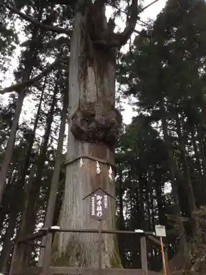 身延山奥之院思親閣(山梨県)