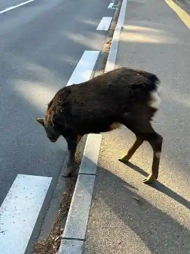拍子神社（春日大社末社）(奈良県)
