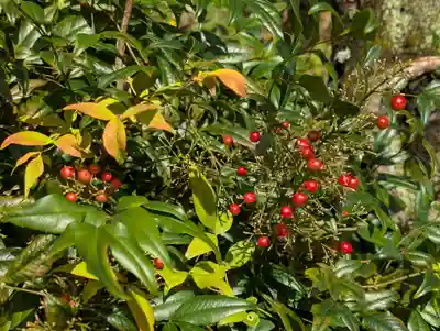 阿久津「田村神社」（郡山市阿久津町）旧社名：伊豆箱根三嶋三社(福島県)