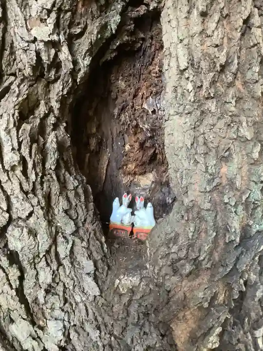 五社稲荷社の狛犬