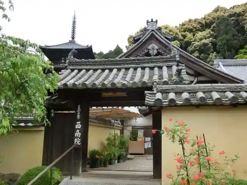 當麻寺西南院の山門