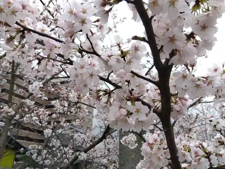 日吉神社(福井県)