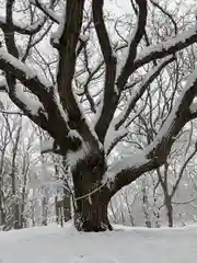 相馬神社(北海道)