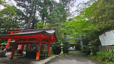 箱根神社(神奈川県)