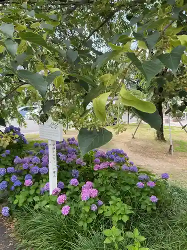 真宗大谷派名古屋別院(愛知県)