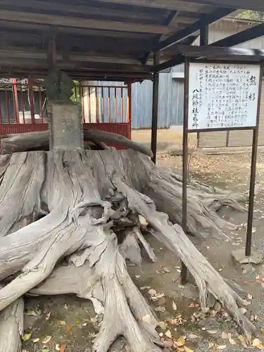 八坂神社(群馬県)