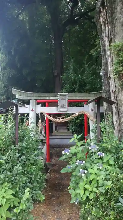 西窪稲荷神社(東京都)