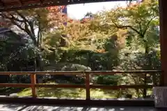 大法院の庭園