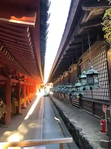 春日大社(奈良県)