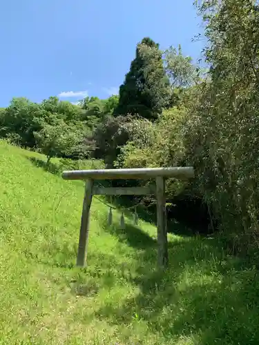 大杉神社の鳥居