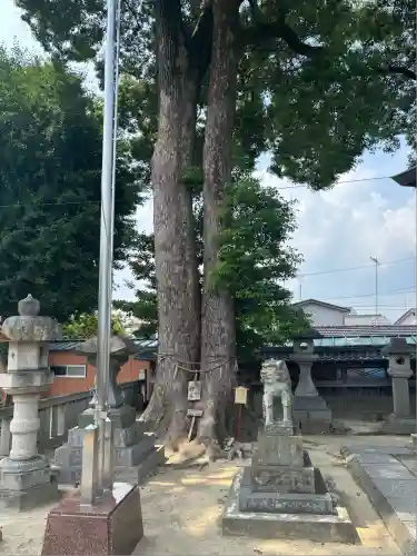竹鼻八剱神社(八剣神社)(岐阜県)