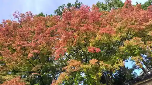 霊源院(京都府)