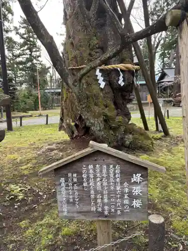 蠶養國神社(福島県)