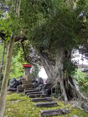 伊多波刀神社(愛知県)