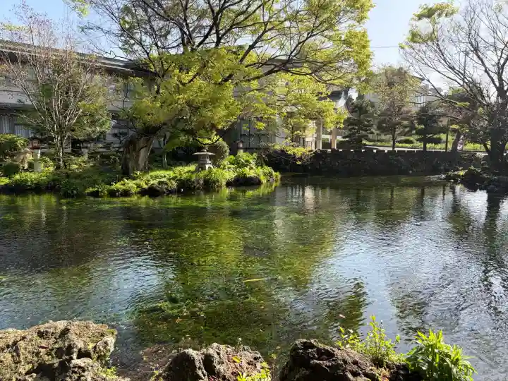 富士山本宮浅間大社の{uncategorized: "未分類", other: "その他", undefined: "問題あり", building: "その他建物", grave: "お墓", sacred_gate: "鳥居", guardian: "狛犬", statue: "像", buddha: "仏像", history: "歴史", nature: "自然", garden: "庭園", animal: "動物", pagoda: "塔", temizu: "手水舎", mountain_gate: "山門・神門", sanctuary: "本殿・本堂", subordinate: "末社・摂社", art: "芸術", scenery: "景色", jizo: "地蔵", ema: "絵馬", goshuin: "御朱印", omikuji: "おみくじ", items: "授与品その他", amulet: "お守り", goshuincho: "御朱印帳", eats: "食事", festival: "お祭り", votive_dance: "神楽", shichigosan: "七五三参", wedding: "結婚式", experience: "体験その他", initially: "初詣", around: "周辺", anti_infection: "感染症対策"}