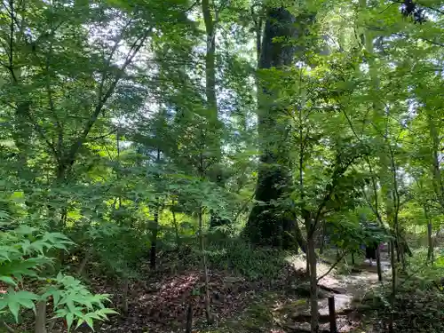 土佐神社(高知県)