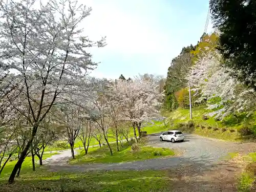 戸隠神社の自然