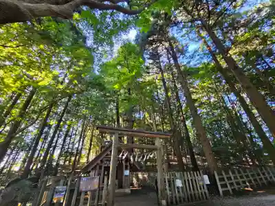 宝登山神社奥宮(埼玉県)