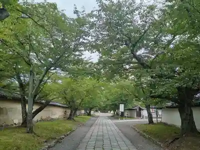 醍醐寺(京都府)