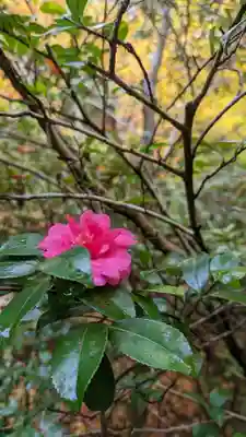 霊鑑寺門跡(京都府)