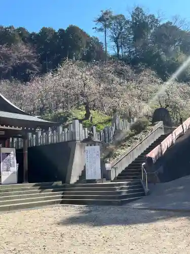 大縣神社の{uncategorized: "未分類", other: "その他", undefined: "問題あり", building: "その他建物", grave: "お墓", sacred_gate: "鳥居", guardian: "狛犬", statue: "像", buddha: "仏像", history: "歴史", nature: "自然", garden: "庭園", animal: "動物", pagoda: "塔", temizu: "手水舎", mountain_gate: "山門・神門", sanctuary: "本殿・本堂", subordinate: "末社・摂社", art: "芸術", scenery: "景色", jizo: "地蔵", ema: "絵馬", goshuin: "御朱印", omikuji: "おみくじ", items: "授与品その他", amulet: "お守り", goshuincho: "御朱印帳", eats: "食事", festival: "お祭り", votive_dance: "神楽", shichigosan: "七五三参", wedding: "結婚式", experience: "体験その他", initially: "初詣", around: "周辺", anti_infection: "感染症対策"}