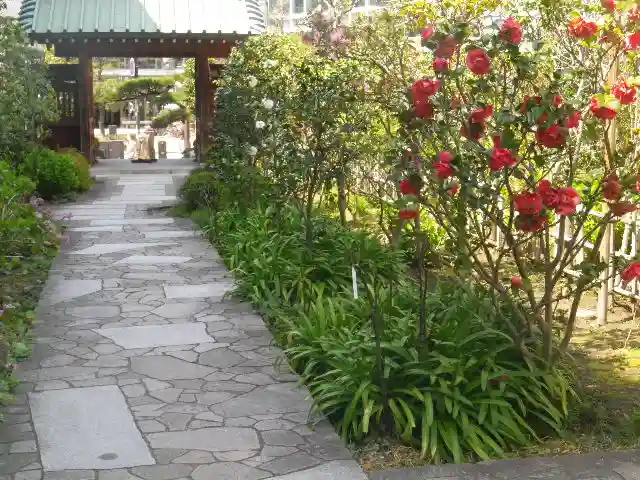 大巧寺のその他建物