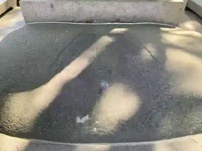 善光寺の{uncategorized: "未分類", other: "その他", undefined: "問題あり", building: "その他建物", grave: "お墓", sacred_gate: "鳥居", guardian: "狛犬", statue: "像", buddha: "仏像", history: "歴史", nature: "自然", garden: "庭園", animal: "動物", pagoda: "塔", temizu: "手水舎", mountain_gate: "山門・神門", sanctuary: "本殿・本堂", subordinate: "末社・摂社", art: "芸術", scenery: "景色", jizo: "地蔵", ema: "絵馬", goshuin: "御朱印", omikuji: "おみくじ", items: "授与品その他", amulet: "お守り", goshuincho: "御朱印帳", eats: "食事", festival: "お祭り", votive_dance: "神楽", shichigosan: "七五三参", wedding: "結婚式", experience: "体験その他", initially: "初詣", around: "周辺", anti_infection: "感染症対策"}