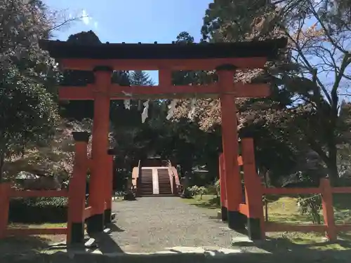 丹生都比売神社の鳥居