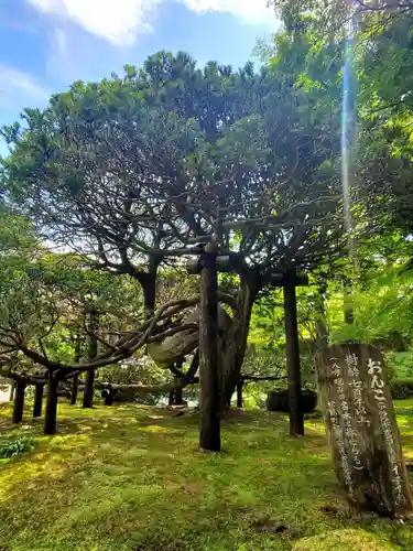 円通院(宮城県)